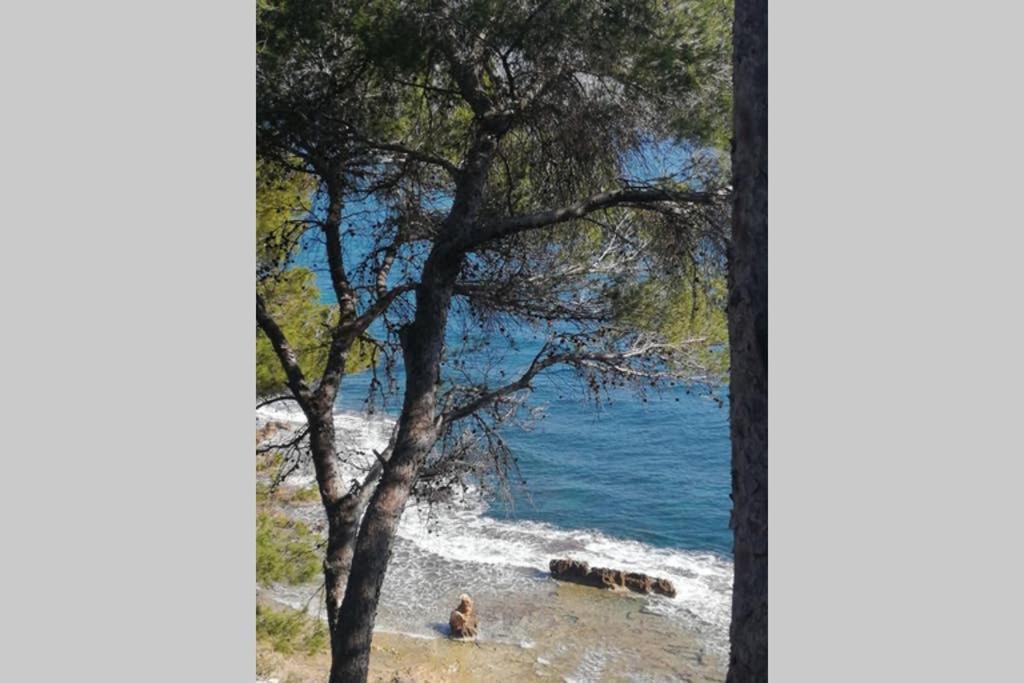 El Poblet 36 Villa Denia Kültér fotó